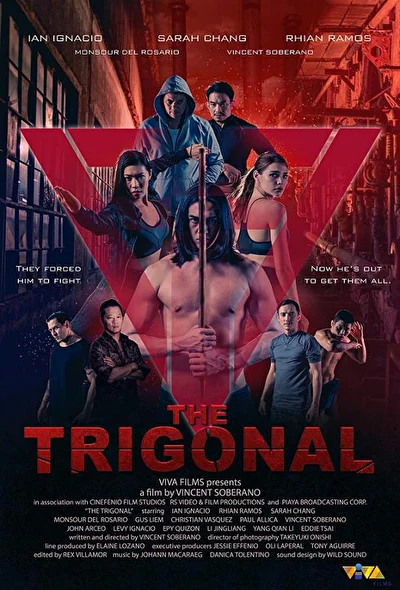 Постер к Тригонал: Борьба за справедливость (2018)