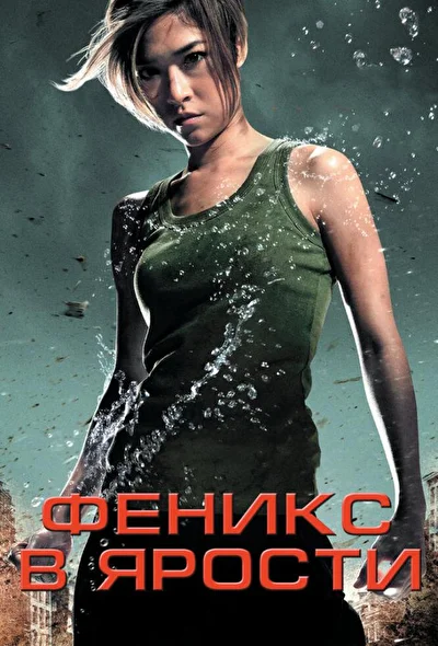 Постер к фильму Феникс в ярости (2009)